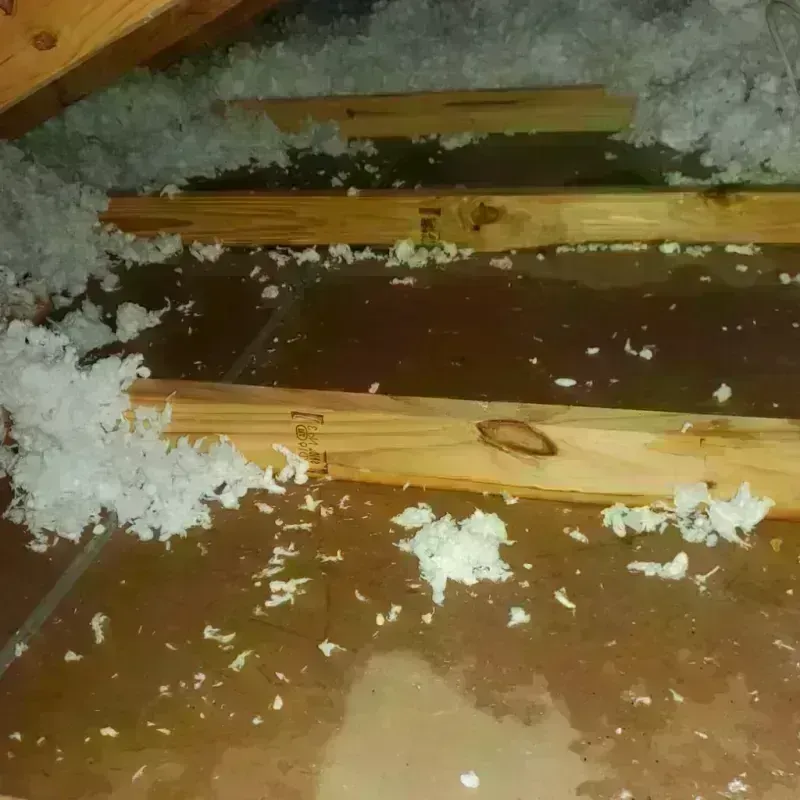 Attic Water Damage in Eureka County, NV