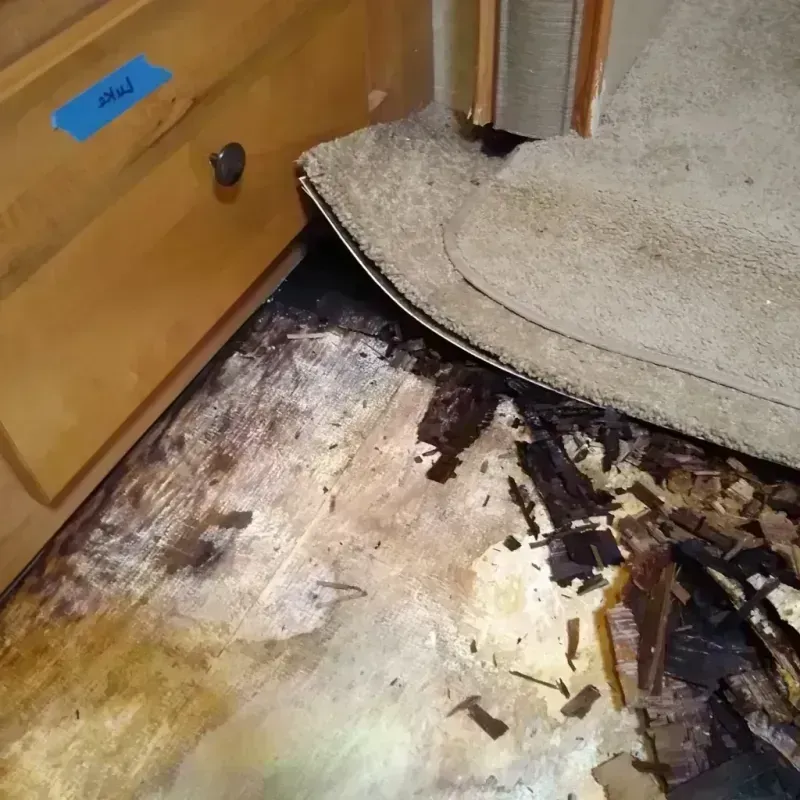 Wood Floor Water Damage in Eureka County, NV